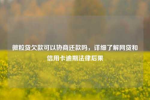 微粒贷欠款可以协商还款吗,详细了解网贷和信用卡逾期法律后果