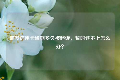 浦发信用卡逾期多久被起诉,暂时还不上怎么办?