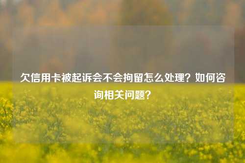 欠信用卡被起诉会不会拘留怎么处理?如何咨询相关问题?