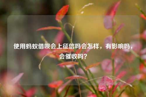 使用蚂蚁借呗会上征信吗会怎样，有影响吗，会催收吗？