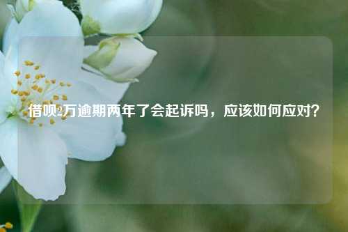 借呗2万逾期两年了会起诉吗，应该如何应对？