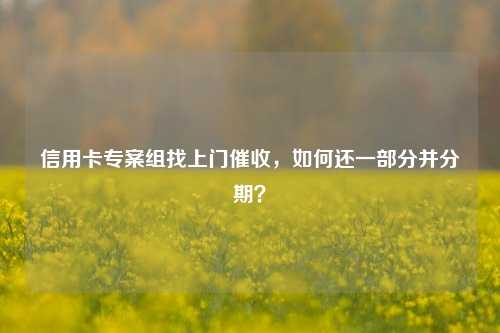 信用卡专案组找上门催收，如何还一部分并分期？