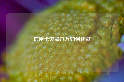 信用卡欠款六万如何还款