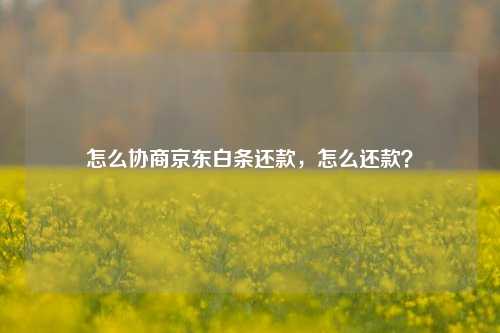 怎么协商京东白条还款，怎么还款？