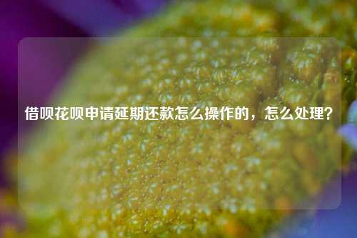 借呗花呗申请延期还款怎么操作的，怎么处理？
