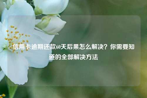 信用卡逾期还款60天后果怎么解决？你需要知道的全部解决方法