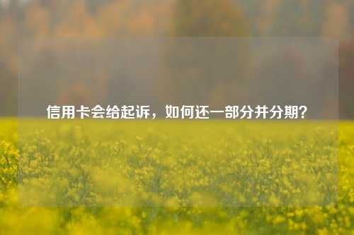 信用卡会给起诉，如何还一部分并分期？