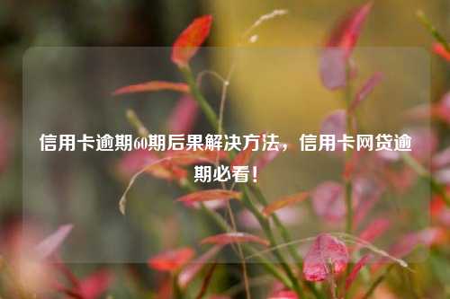 信用卡逾期60期后果解决方法，信用卡网贷逾期必看！