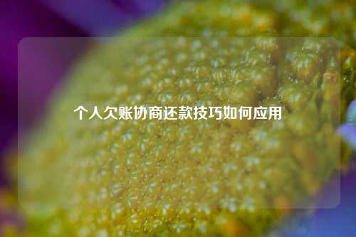 个人欠账协商还款技巧如何应用