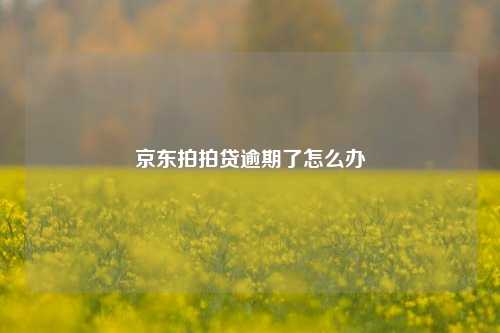 京东拍拍贷逾期了怎么办