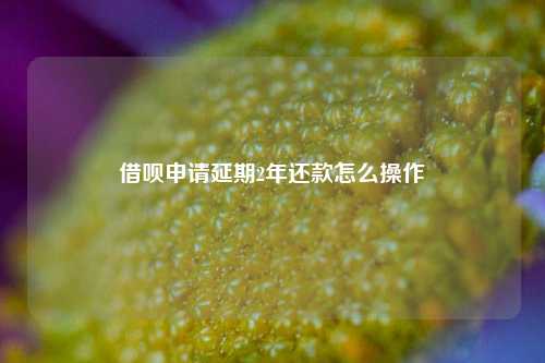 借呗申请延期2年还款怎么操作
