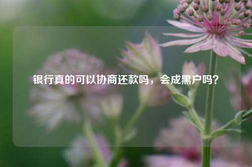 银行真的可以协商还款吗，会成黑户吗？