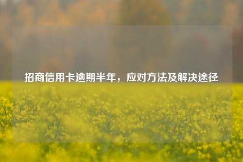 招商信用卡逾期半年，应对方法及解决途径