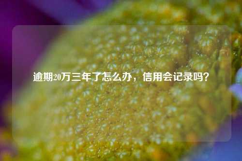 逾期20万三年了怎么办，信用会记录吗？