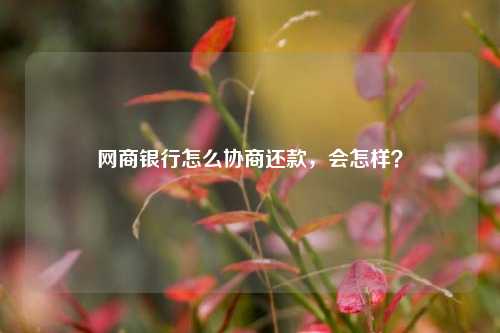 网商银行怎么协商还款，会怎样？