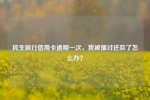 民生银行信用卡逾期一次，我被催讨还款了怎么办？