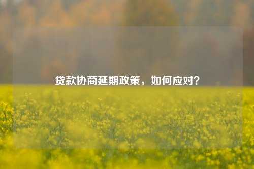 贷款协商延期政策，如何应对？