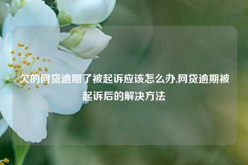 欠的网贷逾期了被起诉应该怎么办,网贷逾期被起诉后的解决方法