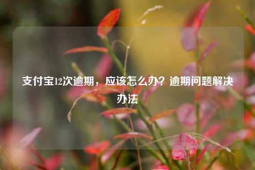 支付宝12次逾期，应该怎么办？逾期问题解决办法