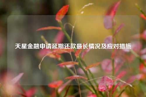 天星金融申请延期还款最长情况及应对措施