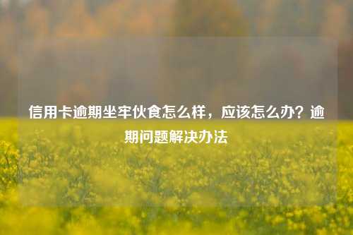 信用卡逾期坐牢伙食怎么样，应该怎么办？逾期问题解决办法