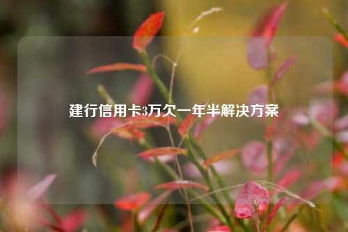 建行信用卡3万欠一年半解决方案